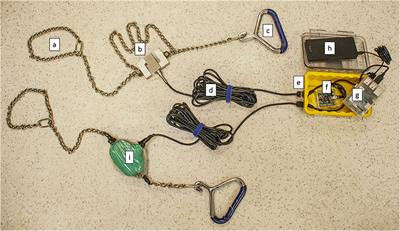 Quantifying the Forces Applied During Manually and Mechanically Assisted Calvings in Beef Cattle